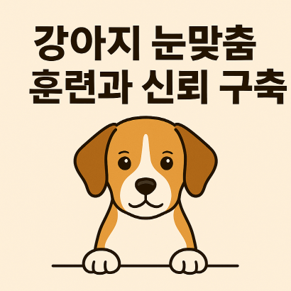 강아지 눈맞춤 훈련으로 신뢰와 애착 쌓는 법
