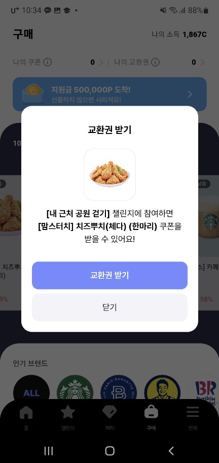 발로소득 전국민 일상지원금 