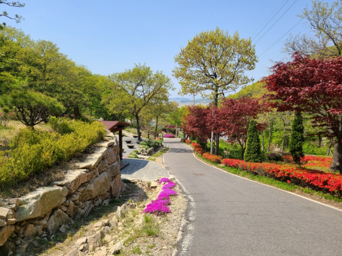 석모도 봄 꽃길