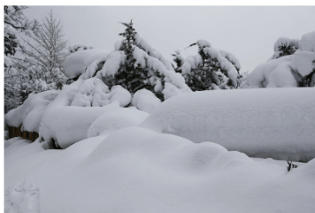 자동차 눈 제거 용품 방법