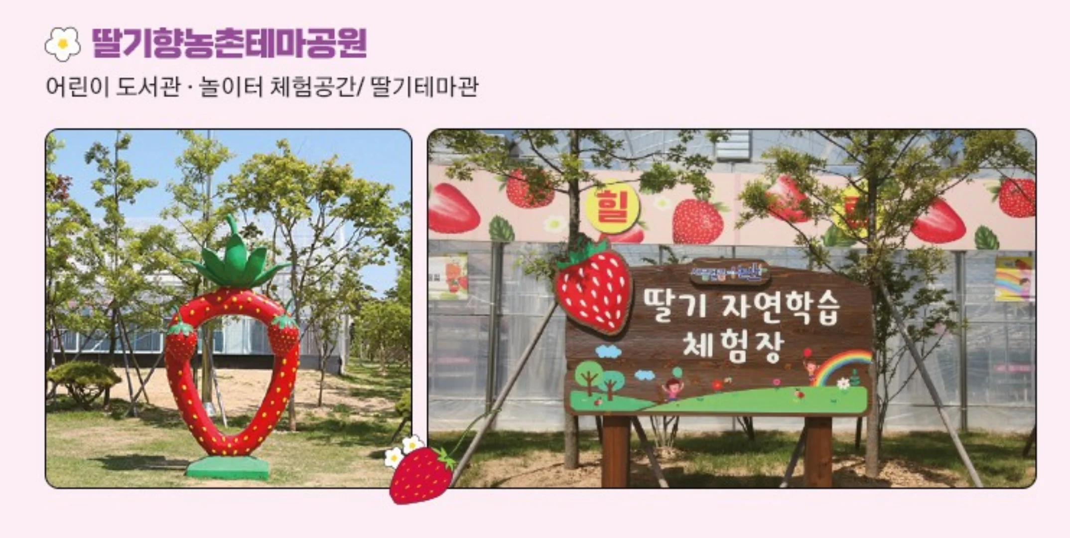 논산 딸기축제 2025