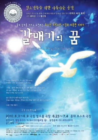 갈매기의 꿈 줄거리 자기초월 우화 리처드 바크_13