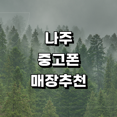 나주시 중고폰