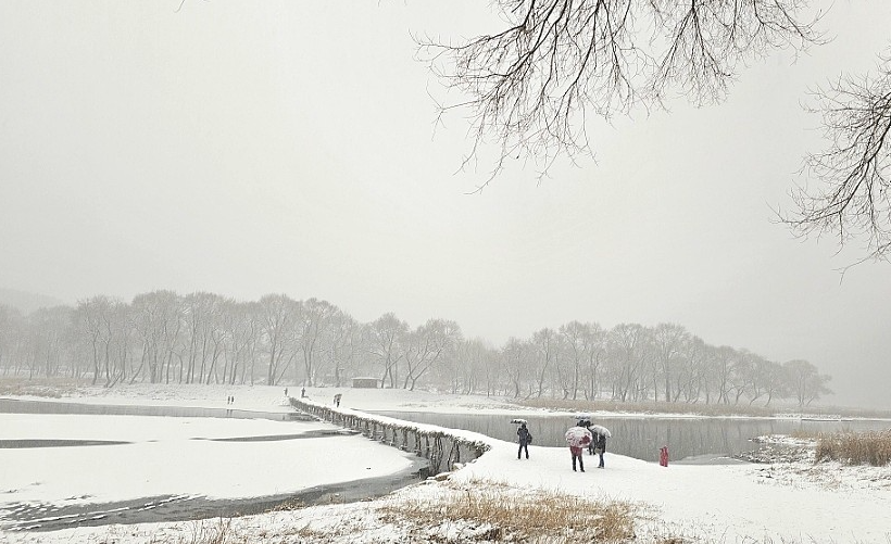 영월 섶다리 마을