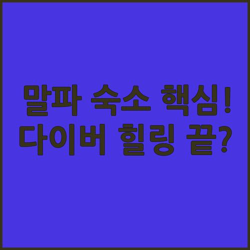 말라파스쿠아 숙소 추천 다이버 힐링 ..
