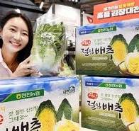 절임배추