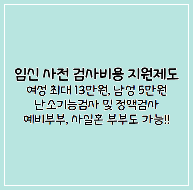 보건소임신지원금