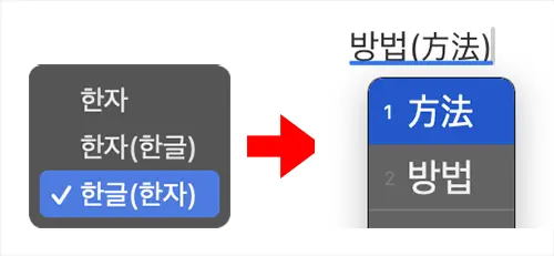 한글(한자)를 선택하는 경우 표시 방식
