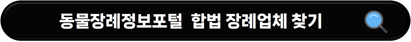 반려동물 장례 절차 및 장례식장