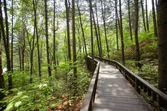 걷기 좋은 명품 숲길 50선 전국 서울 경기_14