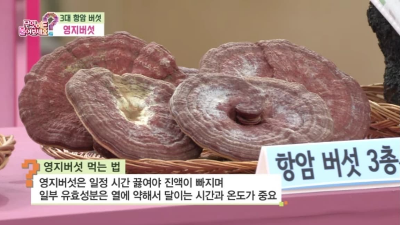 영지버섯 먹는법