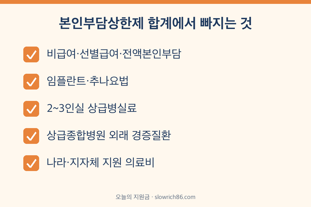 본인부담상한제 제외 항목 비급여 임플란트 상급병실료 체크리스트