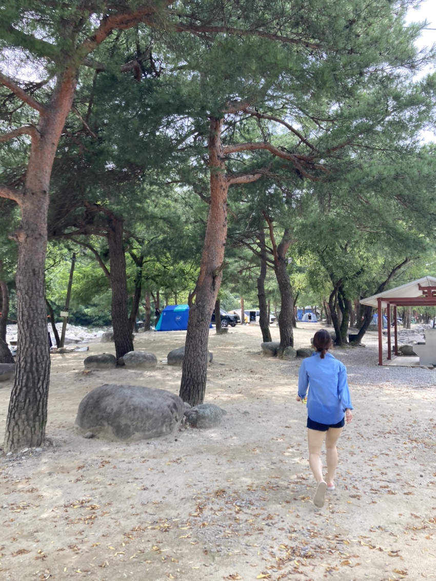 장천마을-캠핑장의-모습