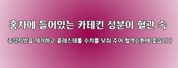  홍차에 들어있는 카테킨 성분이 혈관 속 중성지방을 제거하고 콜레스테롤 수치를 낮춰 주어 혈액순환에 좋습니다