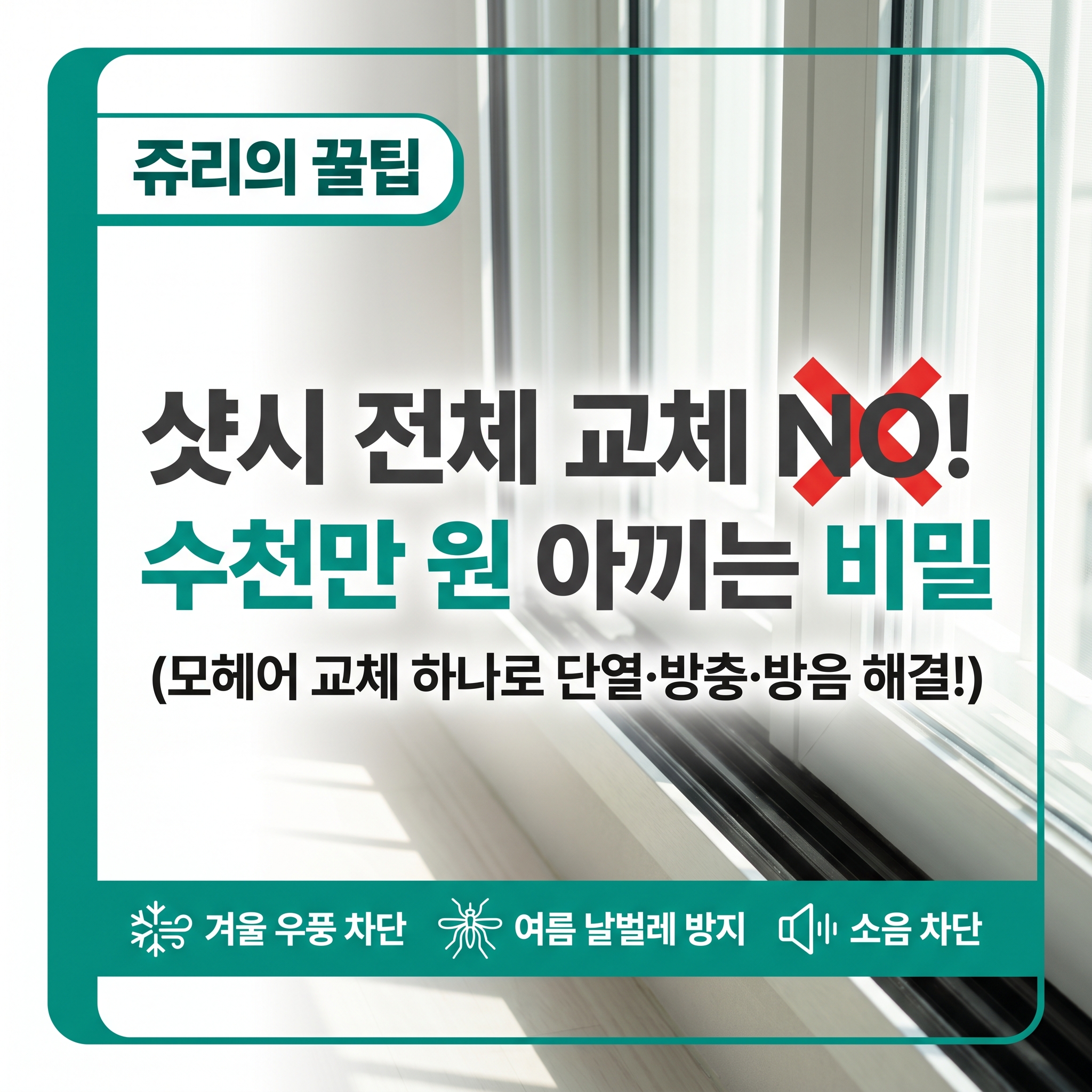 팩트체크 수천만 원 낭비 막는 샷시 모헤어 교체의 숨겨진 진실 (우풍&middot;벌레 완벽 차단)