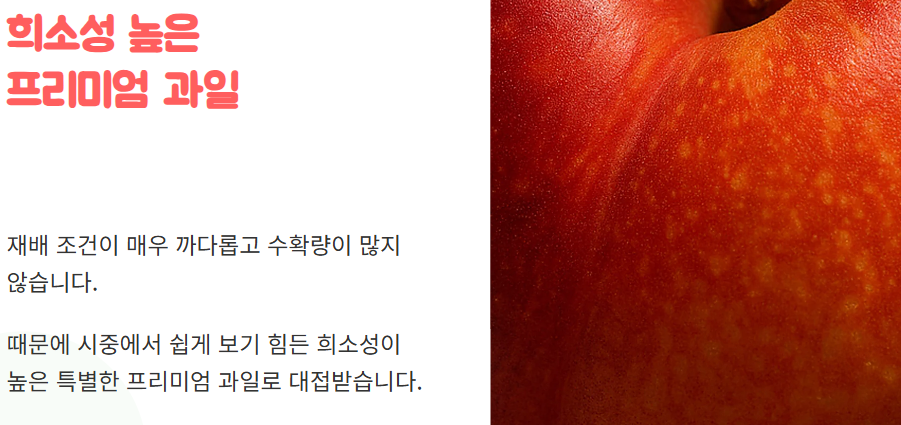 신비 복숭아 수확시기