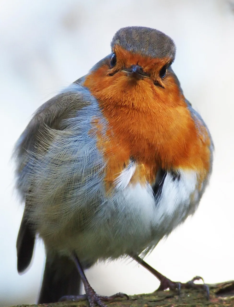 MBTI 성격 유형검사 해석·활용 가이드