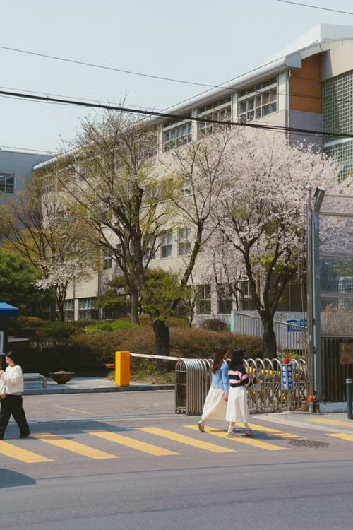 학교정문앞