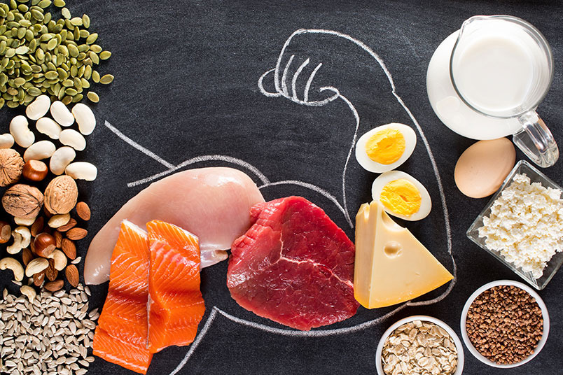 다이어트 실천 중 흔한 실수 단백질