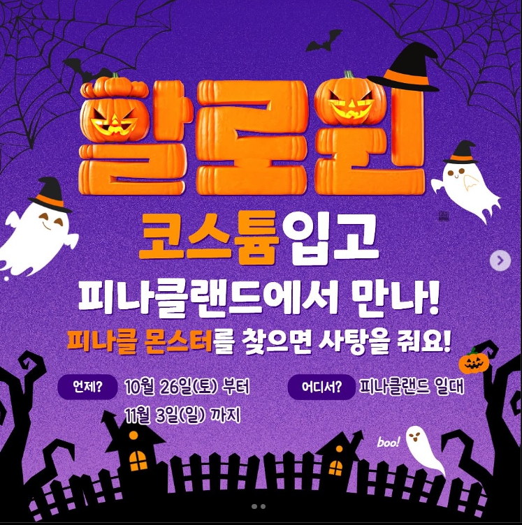 피나클랜드/국화축제/불꽃축제