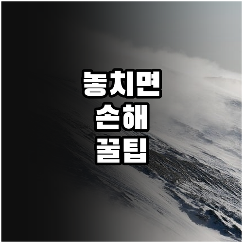 2025 용인시 장애인 전동휠체어 스..