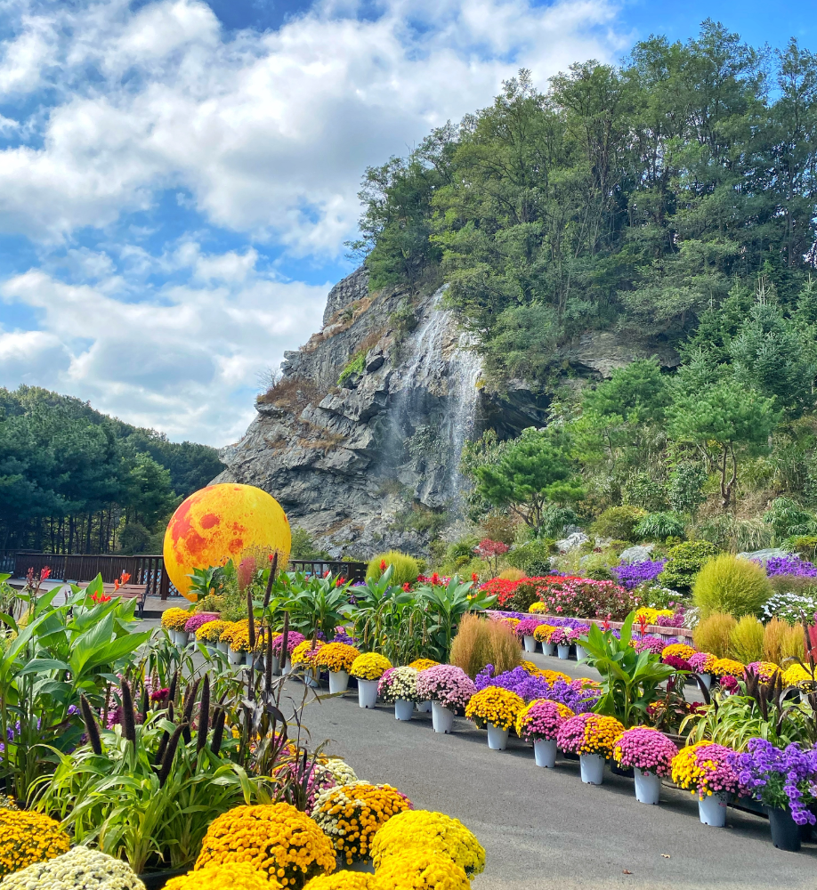 피나클랜드 수목원