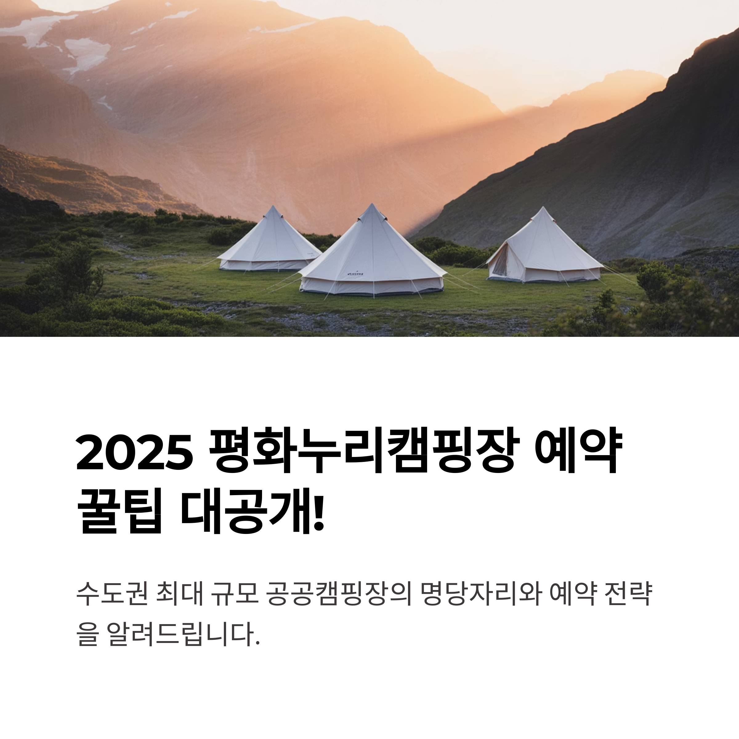 2025 평화누리캠핑장 예약 꿀팁과 사이트별 추천 명당자리