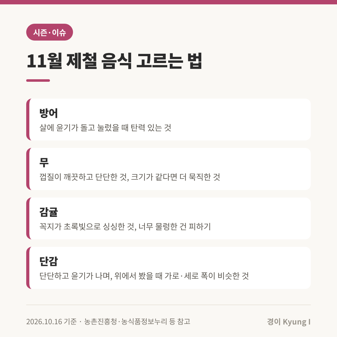 11월 제철 음식 고르는 법: 방어는 윤기와 탄력, 무는 단단하고 같은 크기면 묵직한 것, 감귤은 꼭지가 싱싱한 것, 단감은 윤기 나고 가로&middot;세로 폭이 비슷한 것