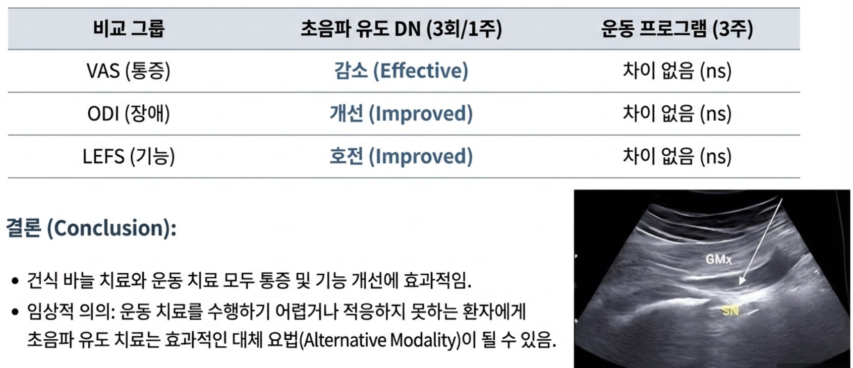 이상근 증후군에 대한 초음파 유도 시술 운동치료와의 비교-구로디지털단지 한의원
