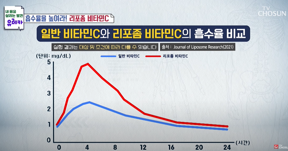 일반비타민과 비교