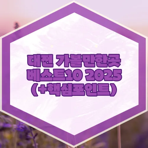 대전 가볼만한곳 베스트10 2025 (+핵심포인트)