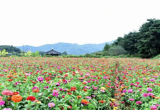 안동문화관광단지