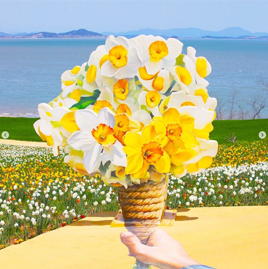 2024-신안-선도-섬수선화축제