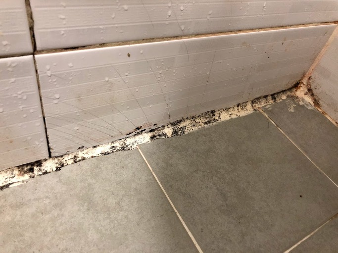 화장실 곰팡이제거 하는방법