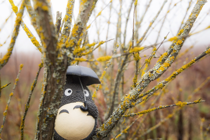 스튜디오 지브리의 흔적을 찾아서: 지브리 박물관, 영화 촬영지, 그리고 관련 명소 탐방 가이드