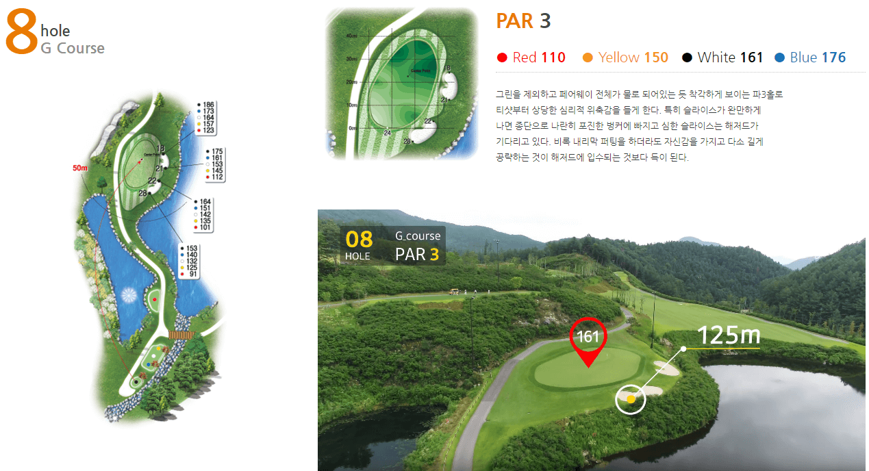 베뉴지 컨트리클럽 지코스 8