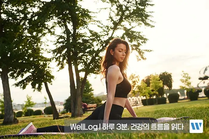 난각막가수분해물 효능