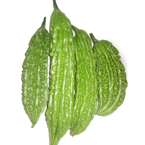 수세미박 효능 및 부작용