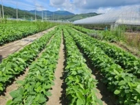 경남 농어민수당 신청방법