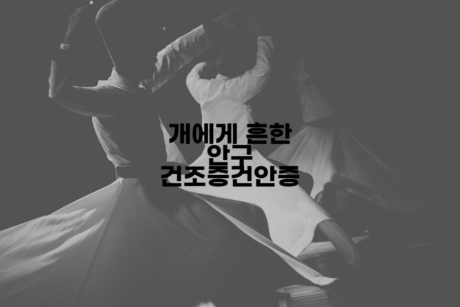 개에게 흔한 안구 건조증건안증