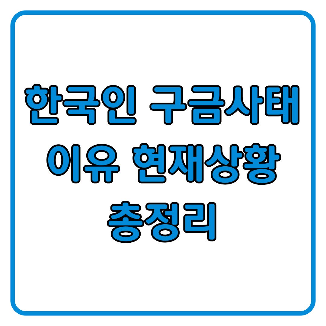 미국 한국인 직원 구금 사건 이유 현재 사항 대응 총정리
