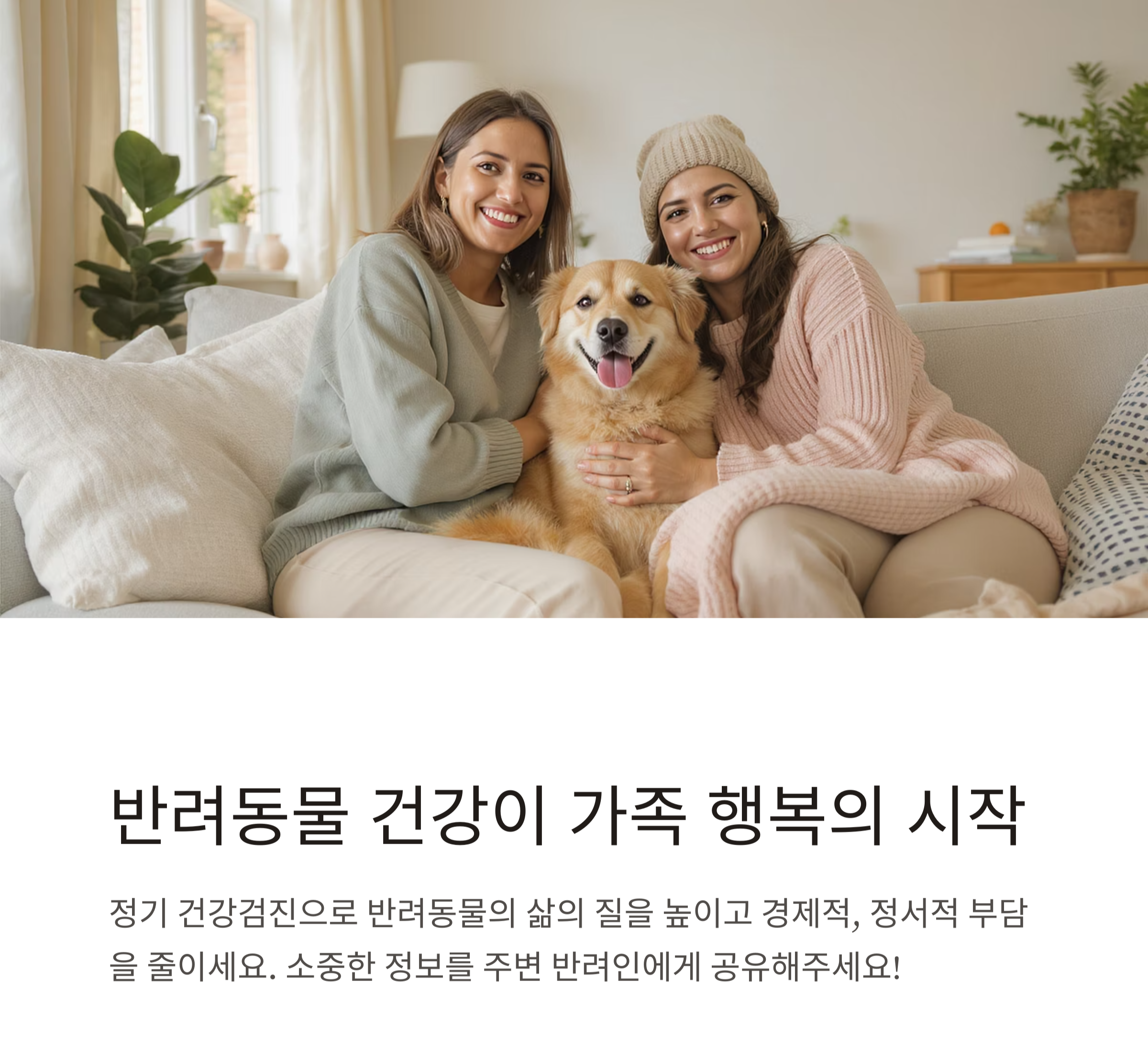 반려동물 건강검진, 꼭 받아야 하는 이유와 적정 주기