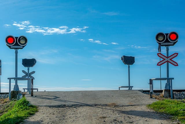 도시의 혈관을 통제하는 빛, 신호등