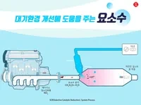요소수