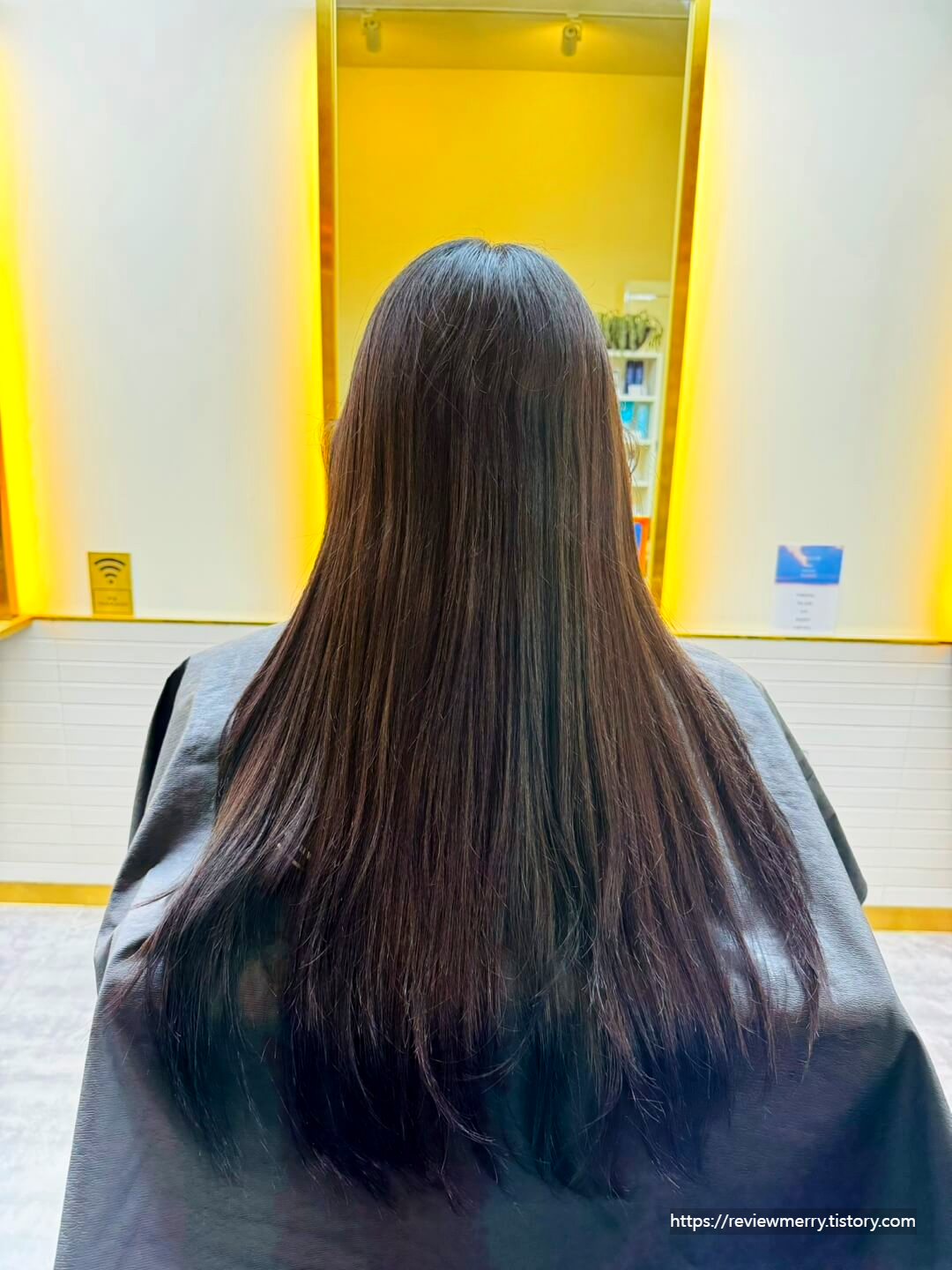 시술전 사진