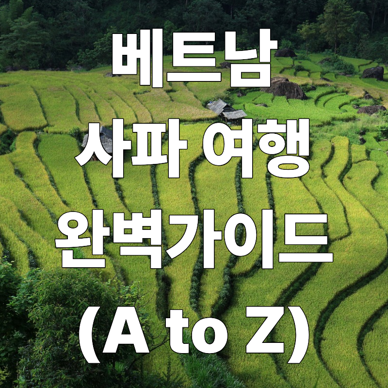 베트남 사파 여행 완벽 가이드