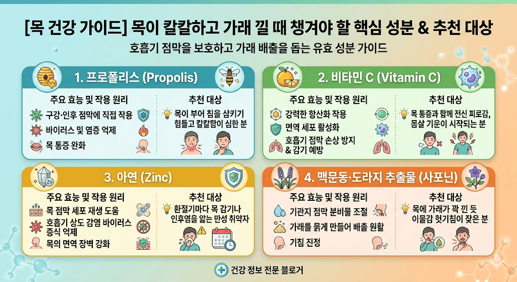 목이 칼칼하고 가래 낄 때 챙겨야 할 핵심 성분과 추천 대상