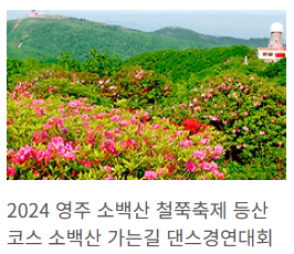 영주 소백산