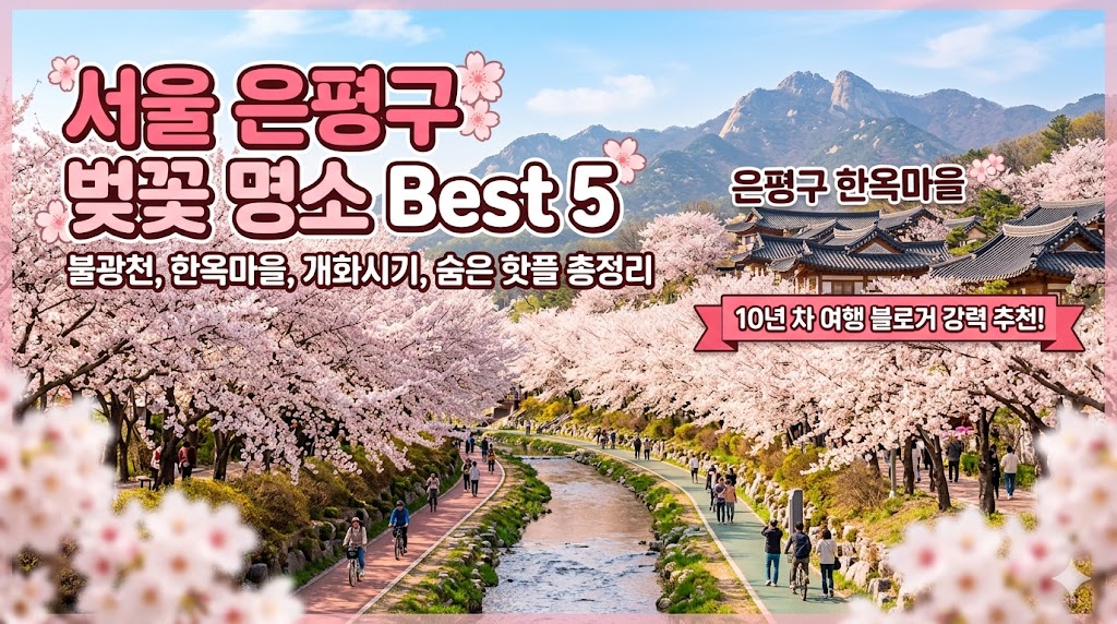 은평구 벚꽃 명소