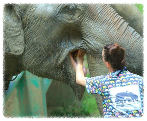 칸타 코끼리 보호구역